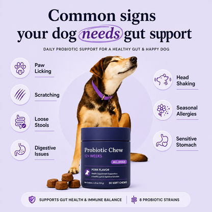 Daily Probiotic Chews for Dogs
