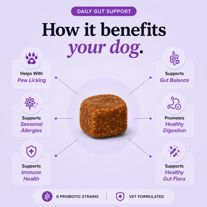 Daily Probiotic Chews for Dogs