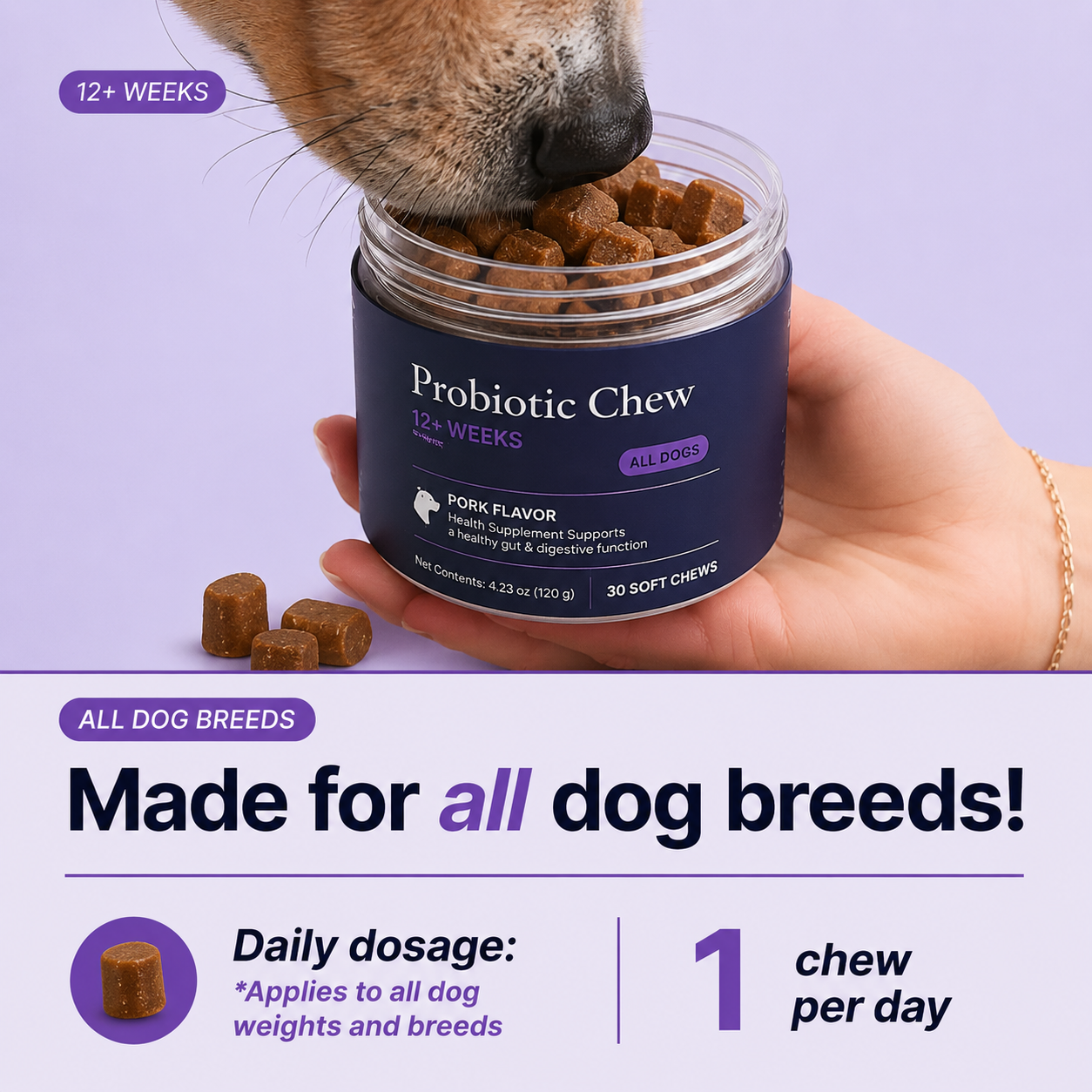 Daily Probiotic Chews for Dogs